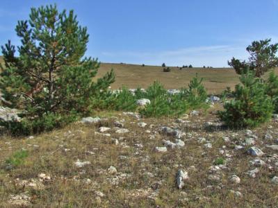 Прикрепленное изображение: DSCF5796.jpg